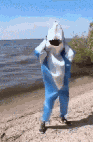 Shark Dance GIF
