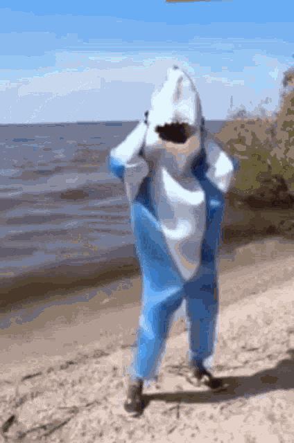 Shark Dance GIF