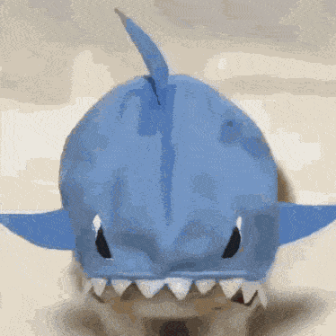Shark Dog GIF