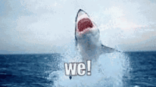 Shark Jump GIF