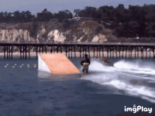 Shark Jump GIF