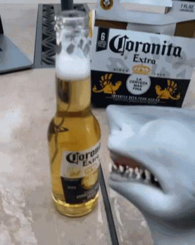 Shark Puppet Corona Beer GIF