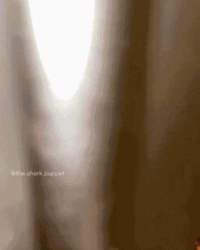 Shark Puppet Shark Week GIF