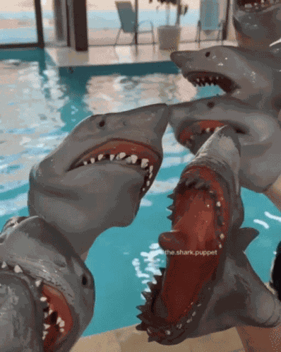 Shark Puppet Swimming GIF