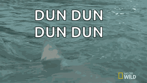 Shark Shark Fest GIF
