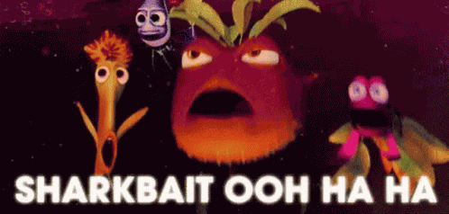 Sharkbait GIF