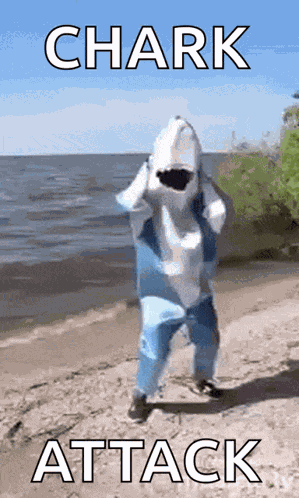Sharkia Shark GIF