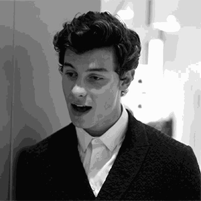Shawn Mendes GIF