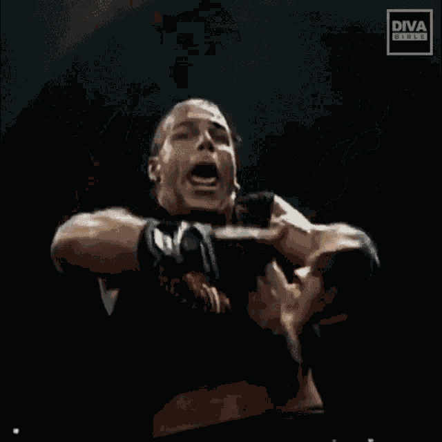 Shawn Michaels Shawn GIF