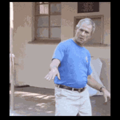 Shbt GIF