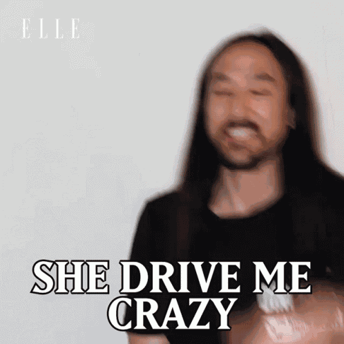 She Drive Me Crazy Steve Aoki GIF