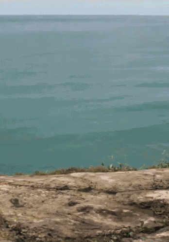 She Hulk Jump She Hulk Landing GIF