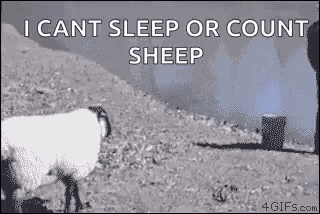 Sheep Push GIF