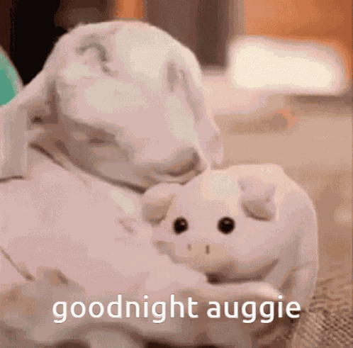 Sheep Sheepish GIF