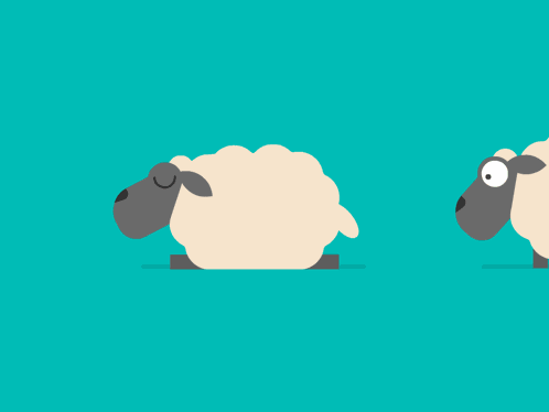 Sheep Sleeping GIF