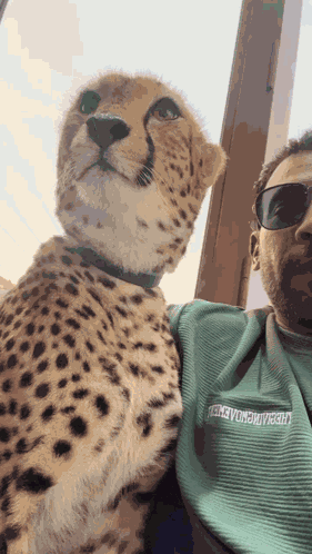 Sheikh With Cheetah Dubai Cheetah GIF