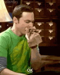 Sheldon Bbt GIF