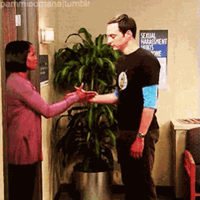 Sheldon Cooper Big Bang Theory GIF