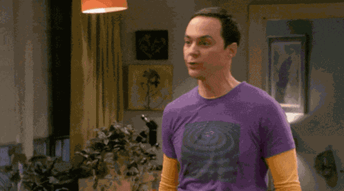 Sheldon Cooper You Go Girl GIF