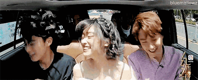 Shenyue Meteorgarden2018 GIF