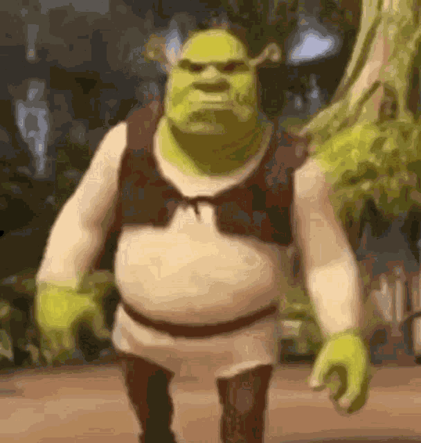Sherk Disappointed GIF