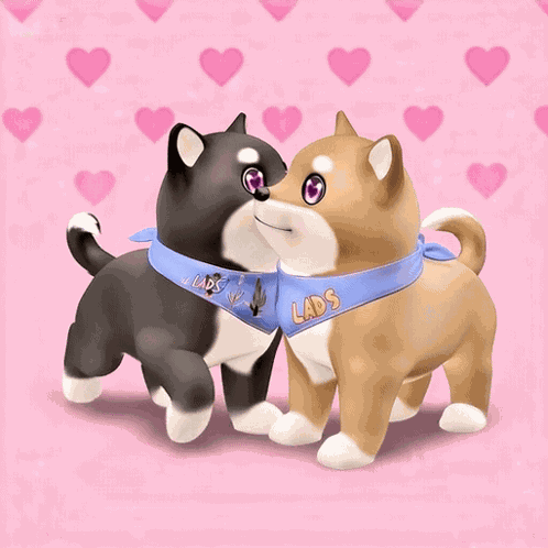 Shib Shiba Inu GIF