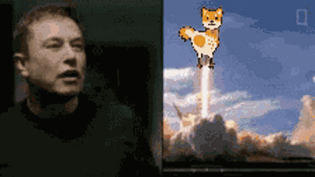 Shiba Shiba Cock GIF