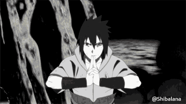 Shibalana Solana GIF