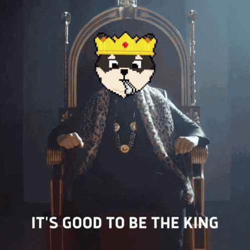 Shiboshis Shiba GIF