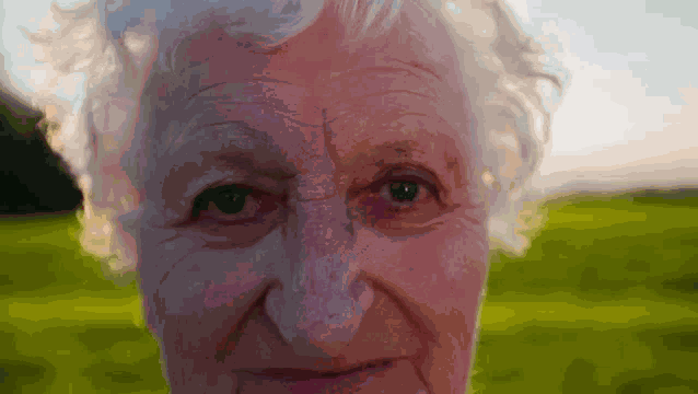 Shiho Hinomori Shiho Meme