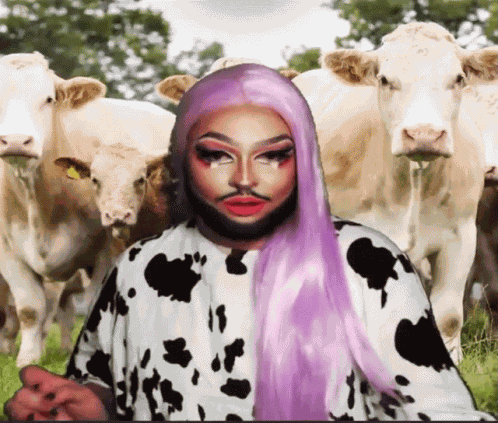Shimmy Shake GIF