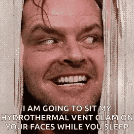 Shining Heres Johnny GIF
