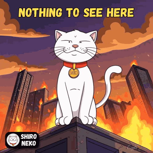 Shiro Neko Cat GIF