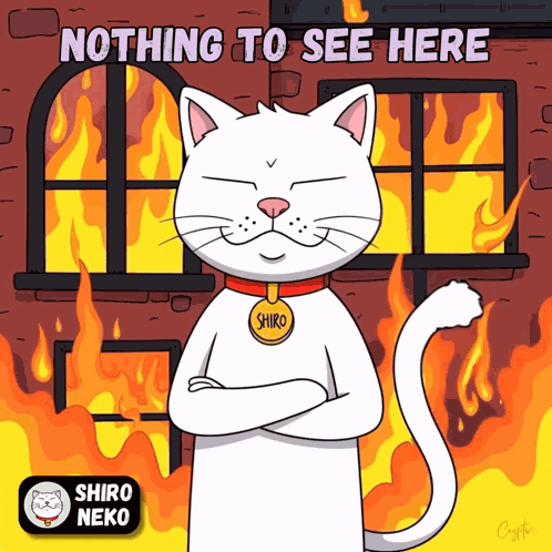 Shiro Shiro Neko GIF