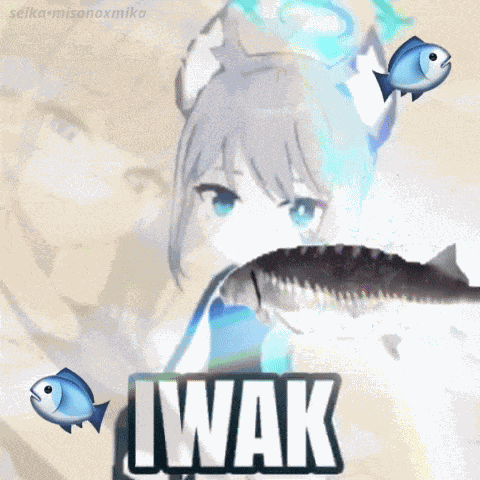 Shiroko Iwak GIF