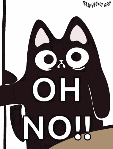 Shocked Shocked Cat GIF