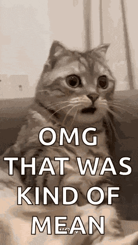 Shocked Surprised GIF