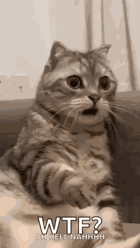 Shocked Surprised GIF
