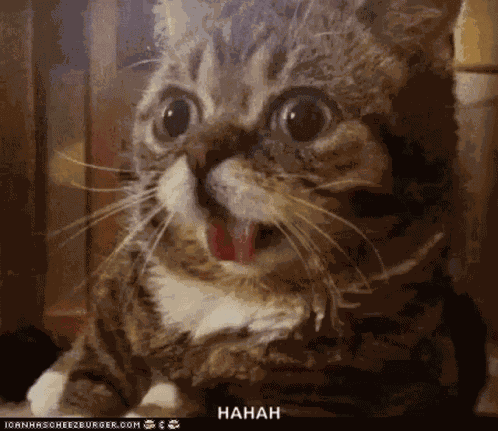 Shocked Surprised GIF