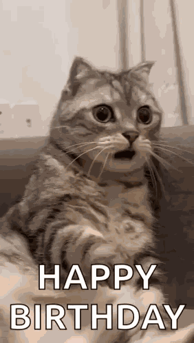 Shocked Surprised GIF