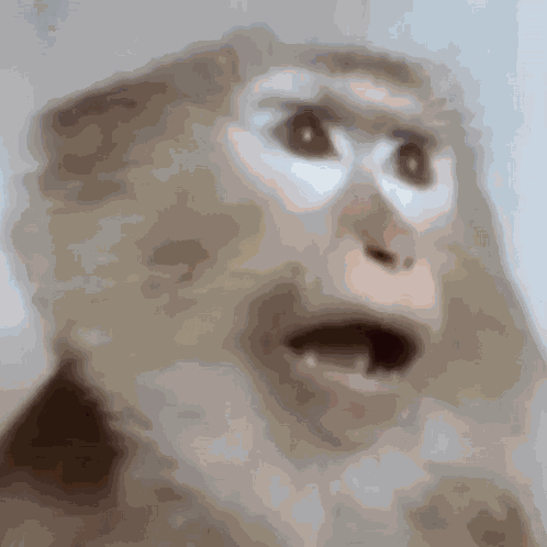 Shocked Zonegif GIF