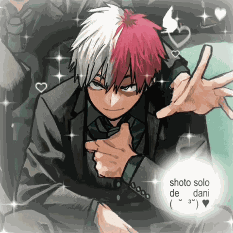 Shoto De Dani Todoroki De Dani GIF