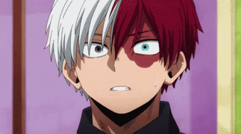 Shoto Shouto GIF