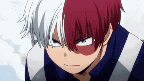 Shoto Todoroki Mha GIF