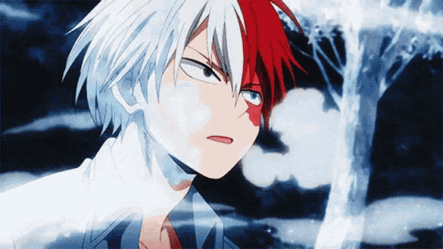 Shoto Todoroki My Hero Academia GIF