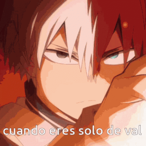 Shoto Todoroki Shouto Todoroki GIF