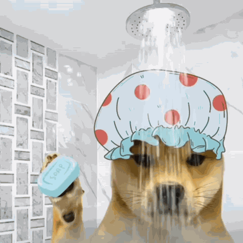Shower Bath GIF