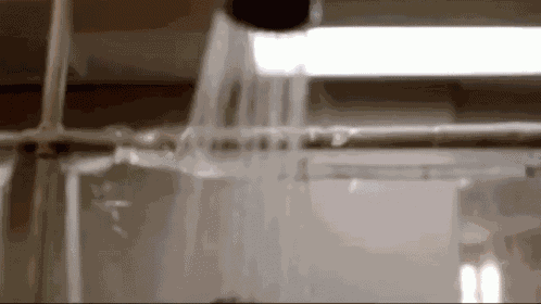 Shower Bathe GIF