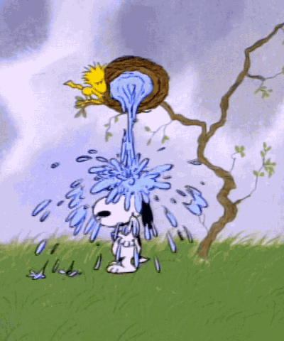 Shower Cold Shower GIF
