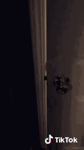 Shrek Air Horn GIF